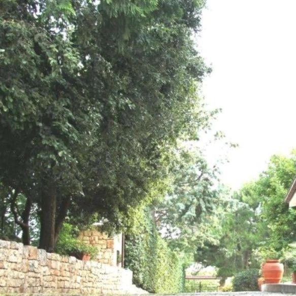 Casa Marisa Villa Vacanza Castellana Grotte Extérieur photo