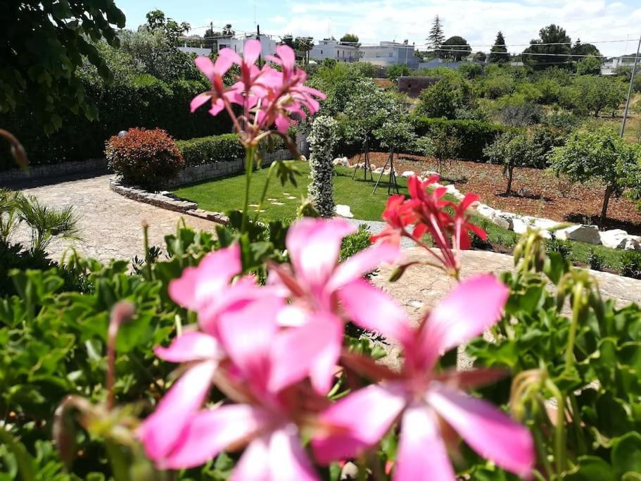 Casa Marisa Villa Vacanza Castellana Grotte Extérieur photo