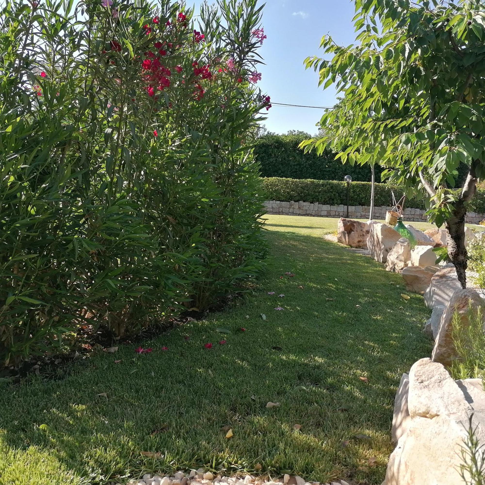 Casa Marisa Villa Vacanza Castellana Grotte Extérieur photo
