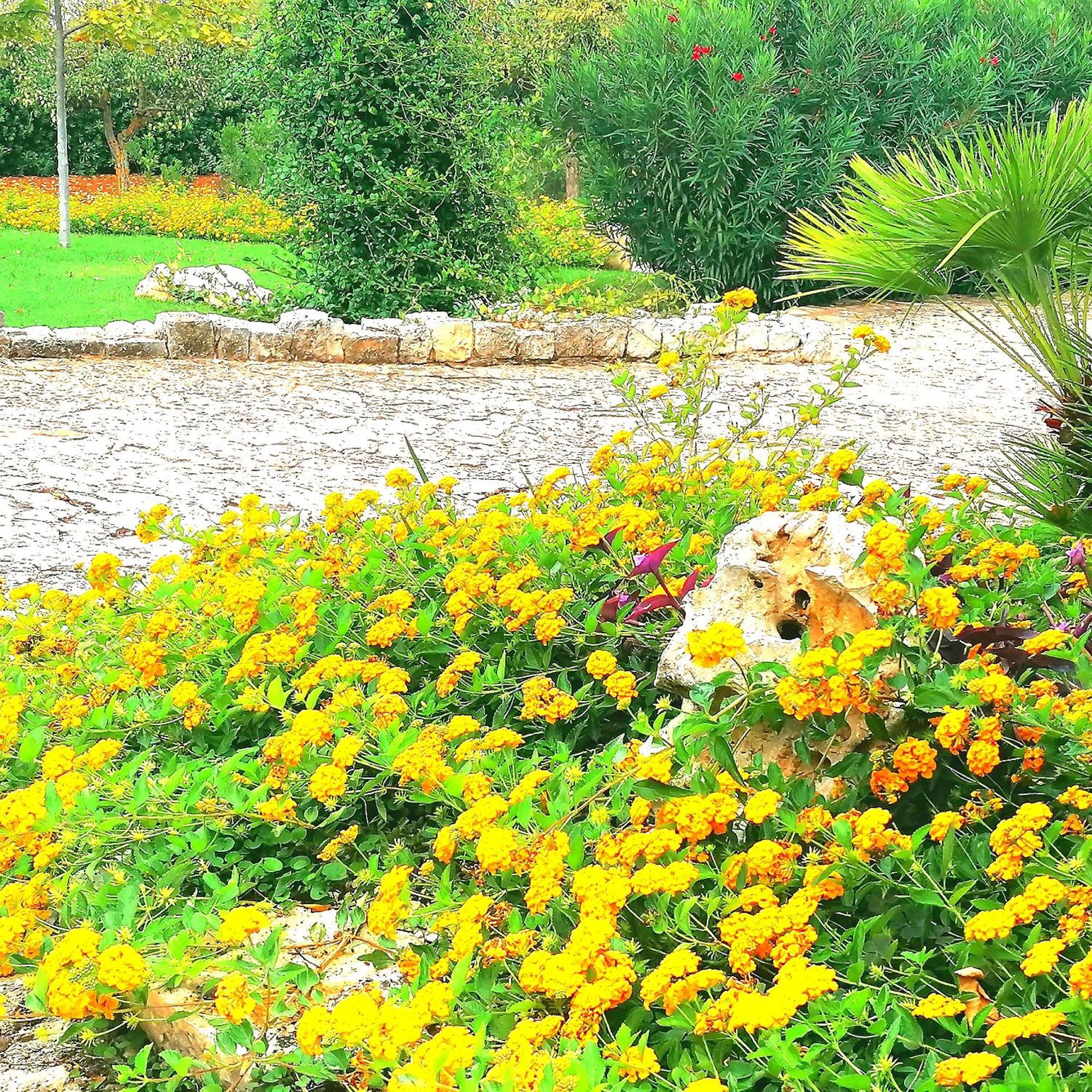 Casa Marisa Villa Vacanza Castellana Grotte Extérieur photo